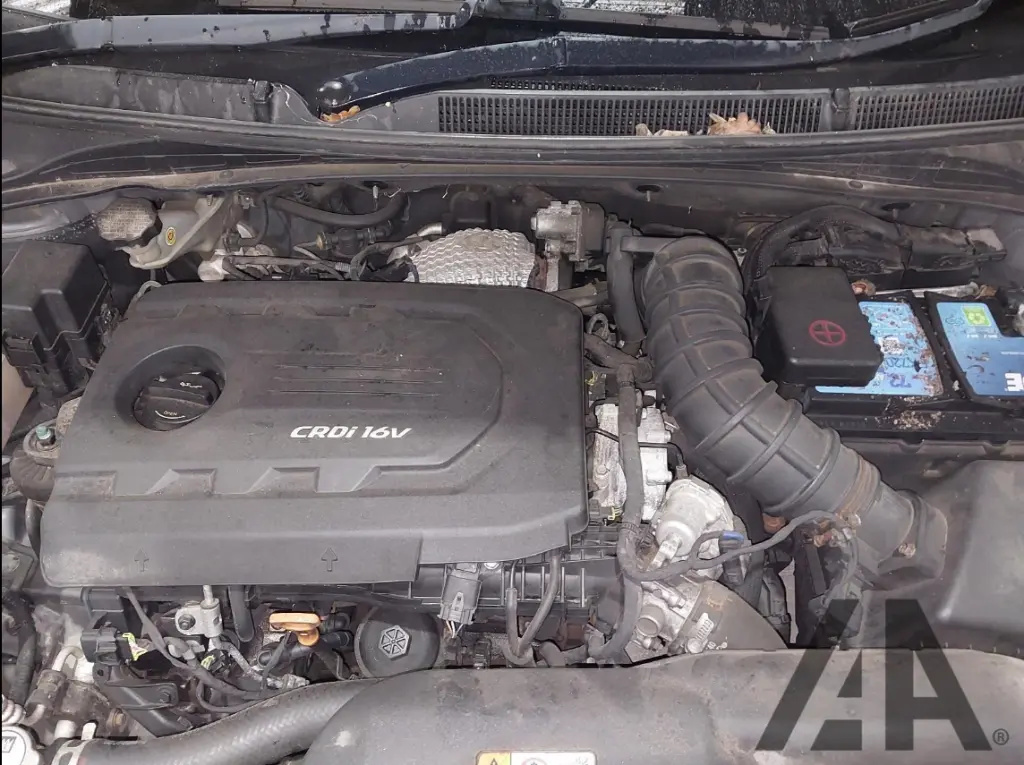 Capture d'écran 2026-02-18 123517.webp