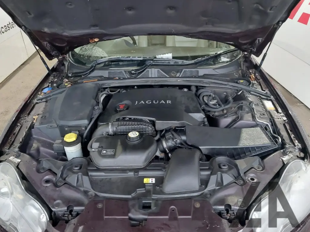 Capture d'écran 2026-02-18 125620.webp