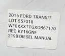 146009_17