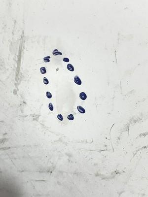 279807_14