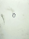 279807_15