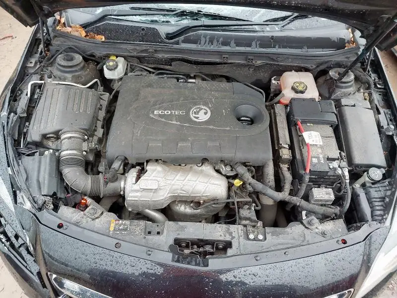 74979775_Image_7.webp