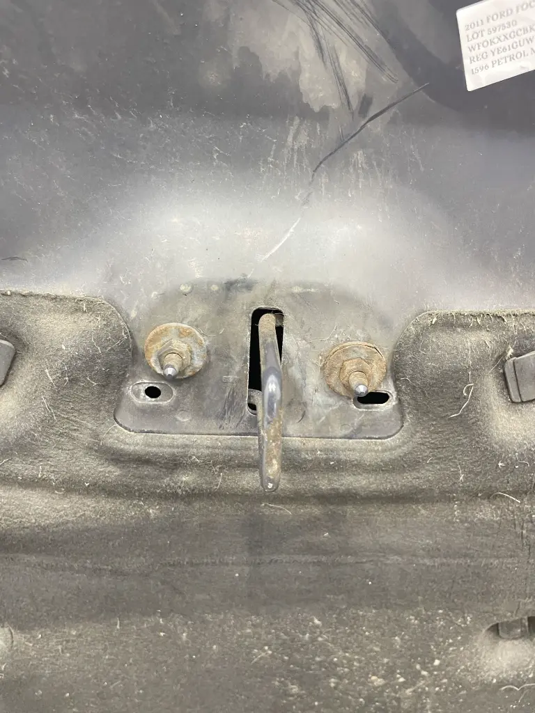 IMG_2390.webp