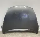 IMG_2443.webp