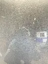 IMG_2531.webp