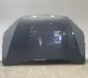 IMG_2556.webp