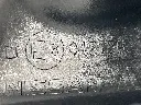 IMG_4517.webp