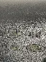 IMG_4597.webp