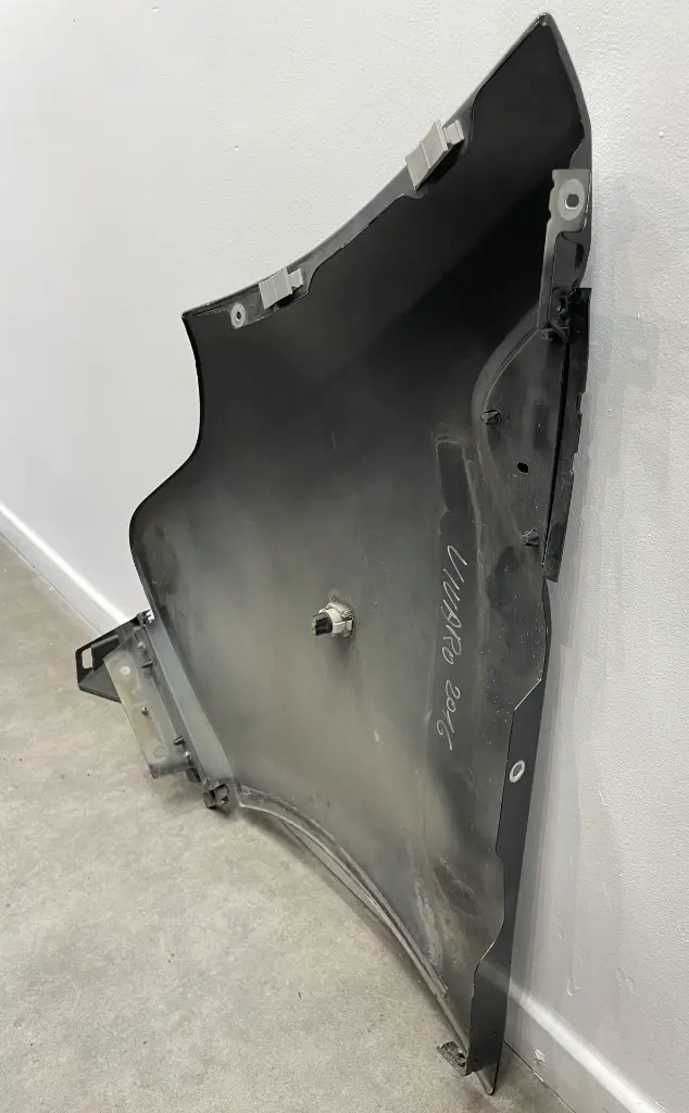 IMG_6781.webp