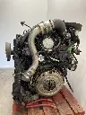 IMG_5443.webp