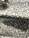 IMG_5513.webp