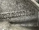 IMG_5773.webp