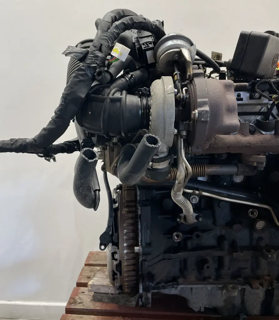 IMG_5953.webp