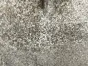 IMG_6247.webp