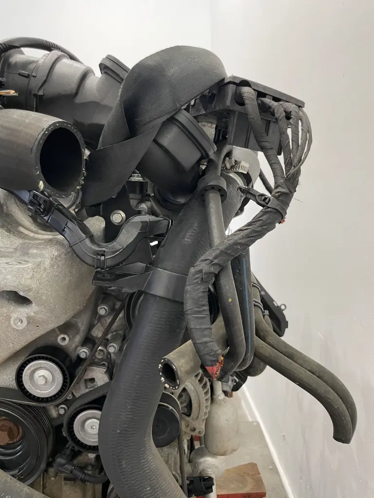 IMG_6593.webp