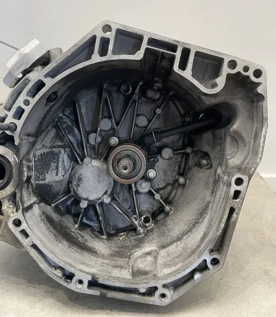 IMG_6939.webp