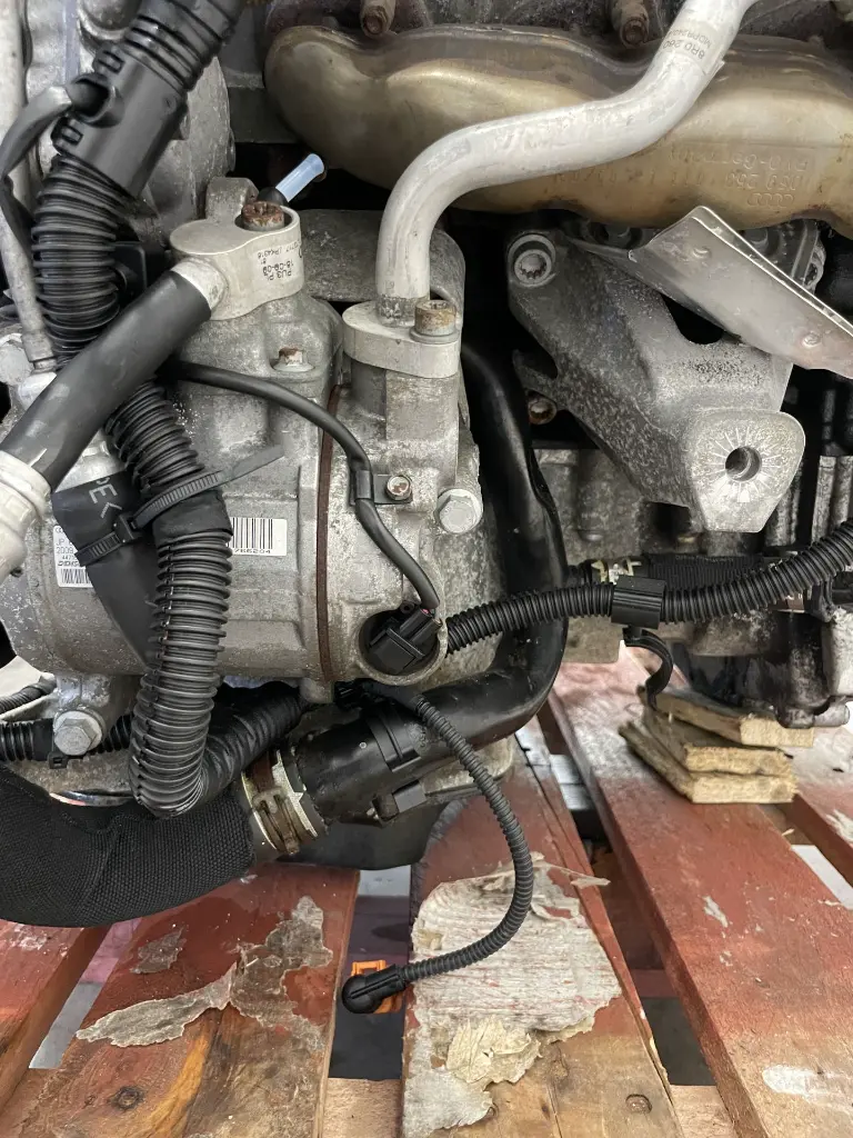 IMG_6980.webp