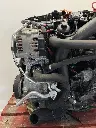 IMG_7107.webp