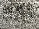 IMG_7196.webp