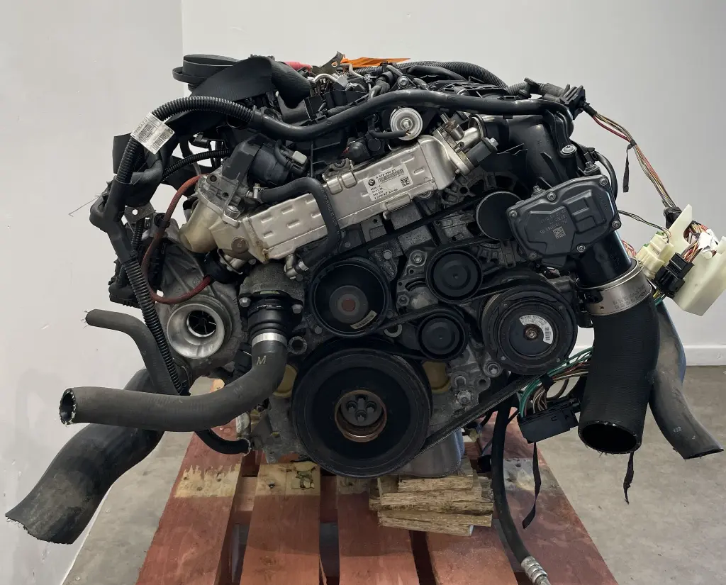 IMG_7668.webp