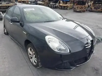 ALFA.webp
