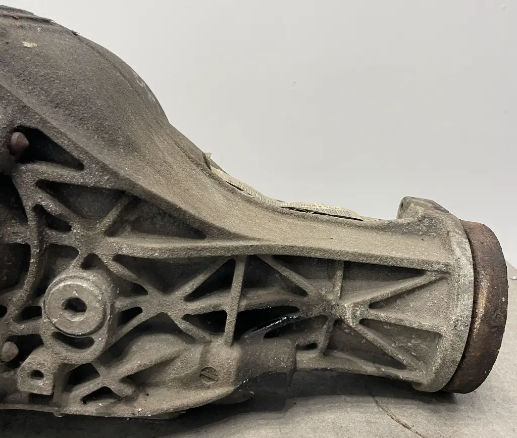 IMG_0453.webp
