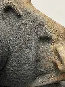 IMG_0540.webp