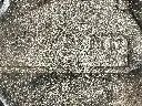 IMG_2926.webp