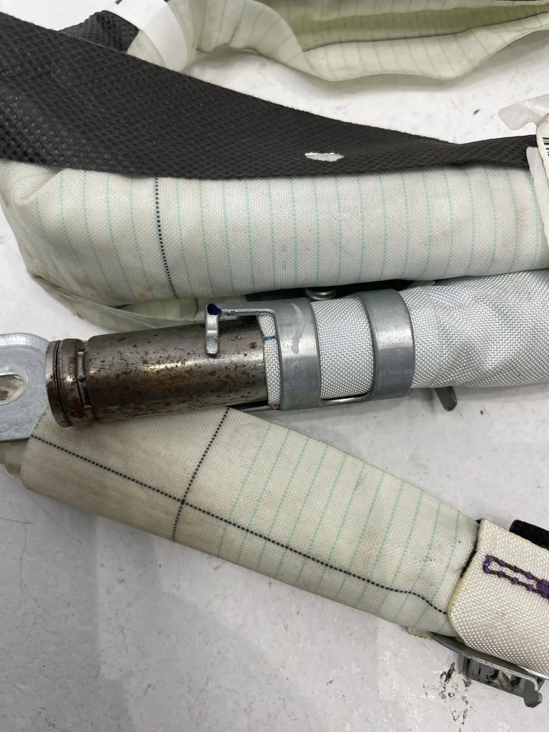 IMG_2623.webp
