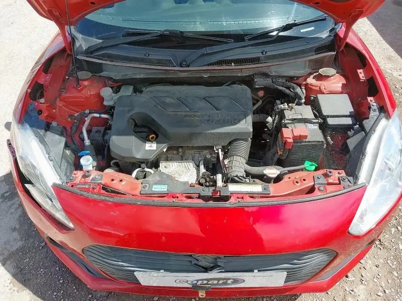 56384606_Image_7.webp