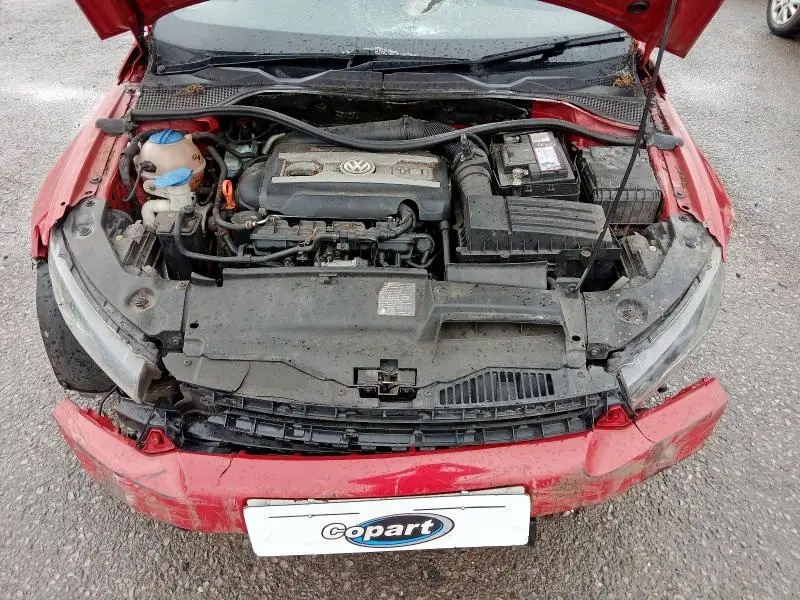 56074966_Image_7.webp