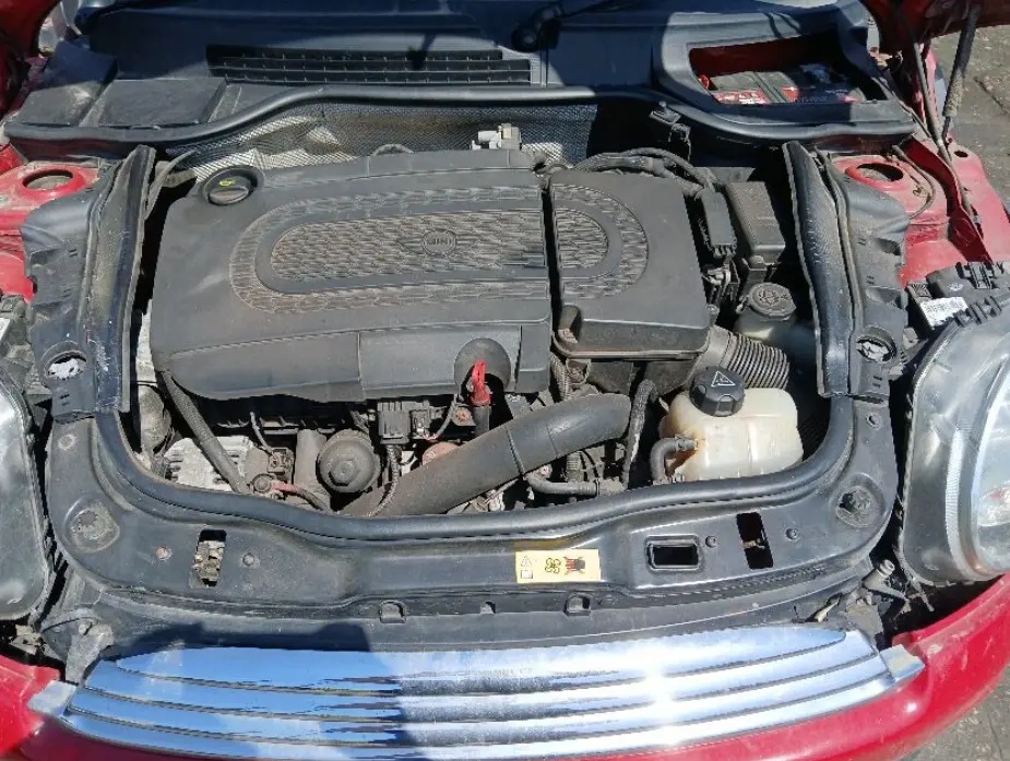 5.webp