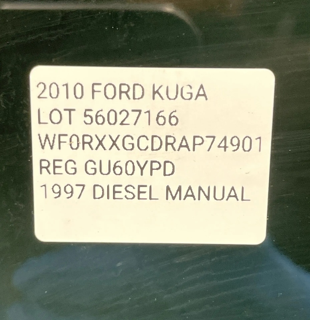 IMG_8504.webp