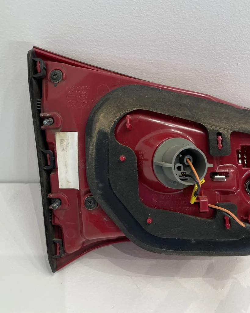 IMG_2501.webp