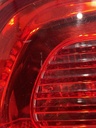 IMG_2727.webp