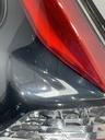 IMG_2906.webp