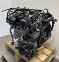 IMG_6875.webp