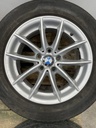 IMG_7800.webp