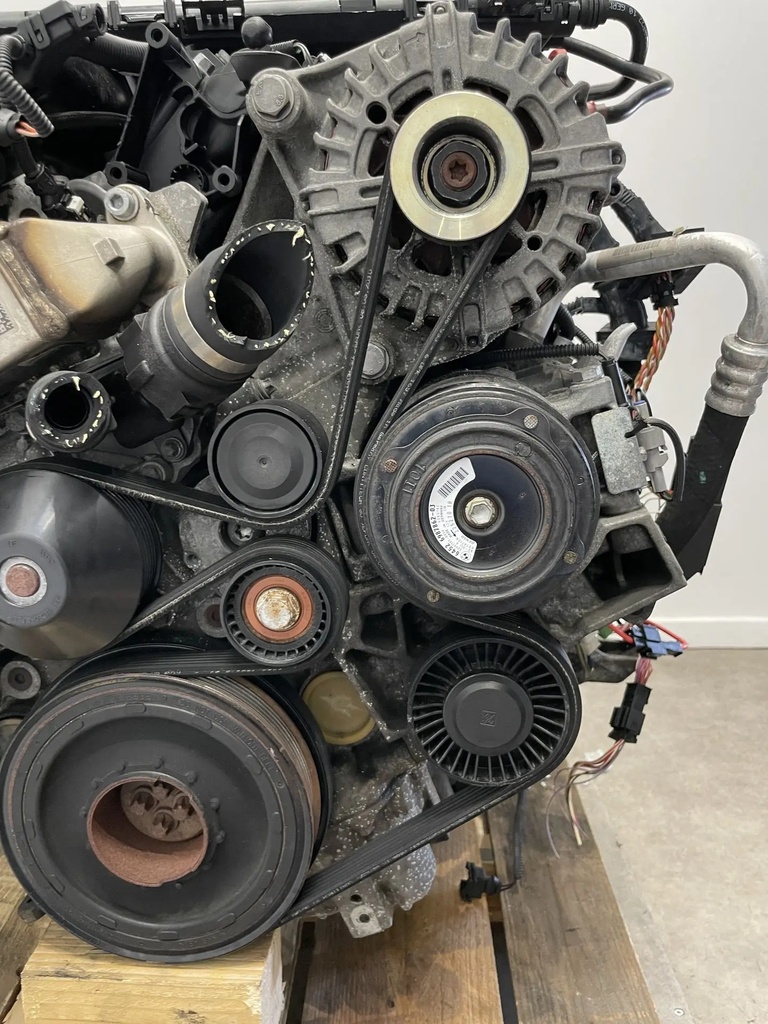 IMG_7878.webp