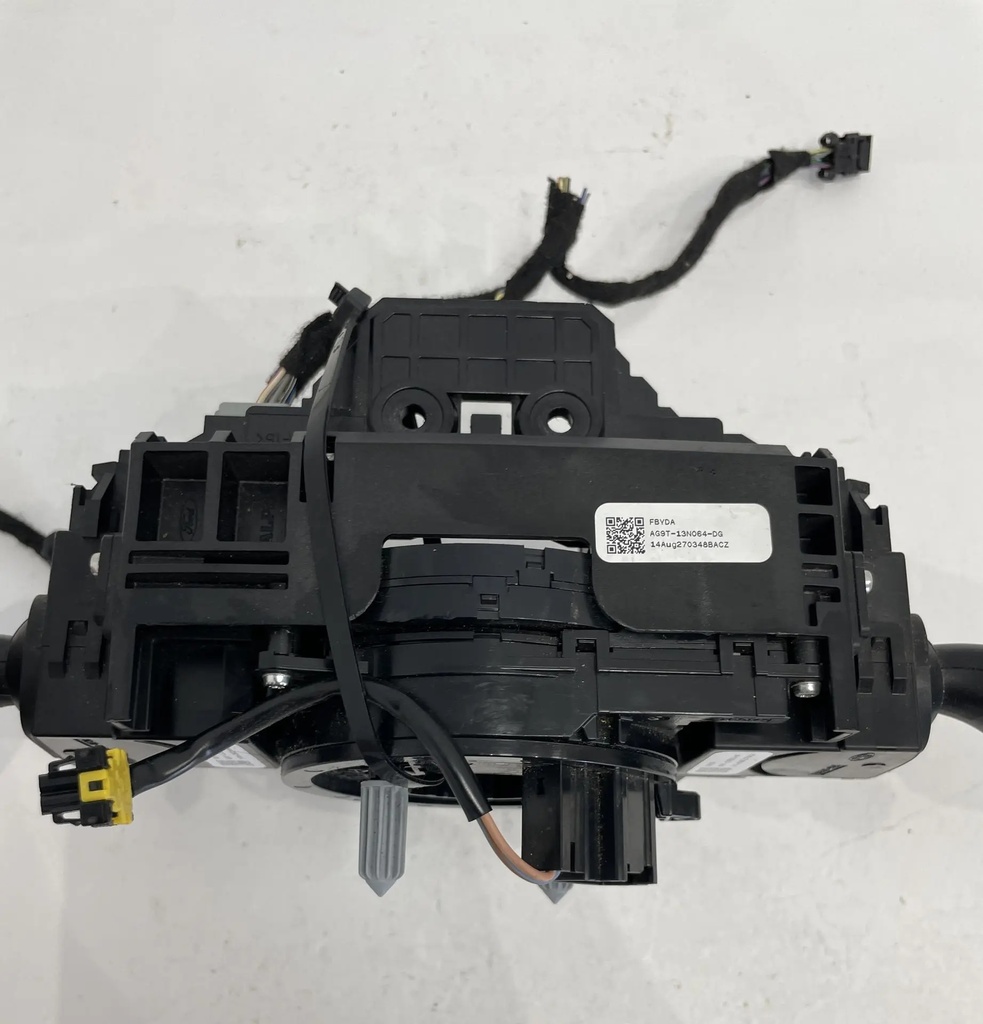 IMG_2891.webp