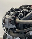 IMG_8118.webp