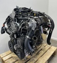 IMG_8456.webp