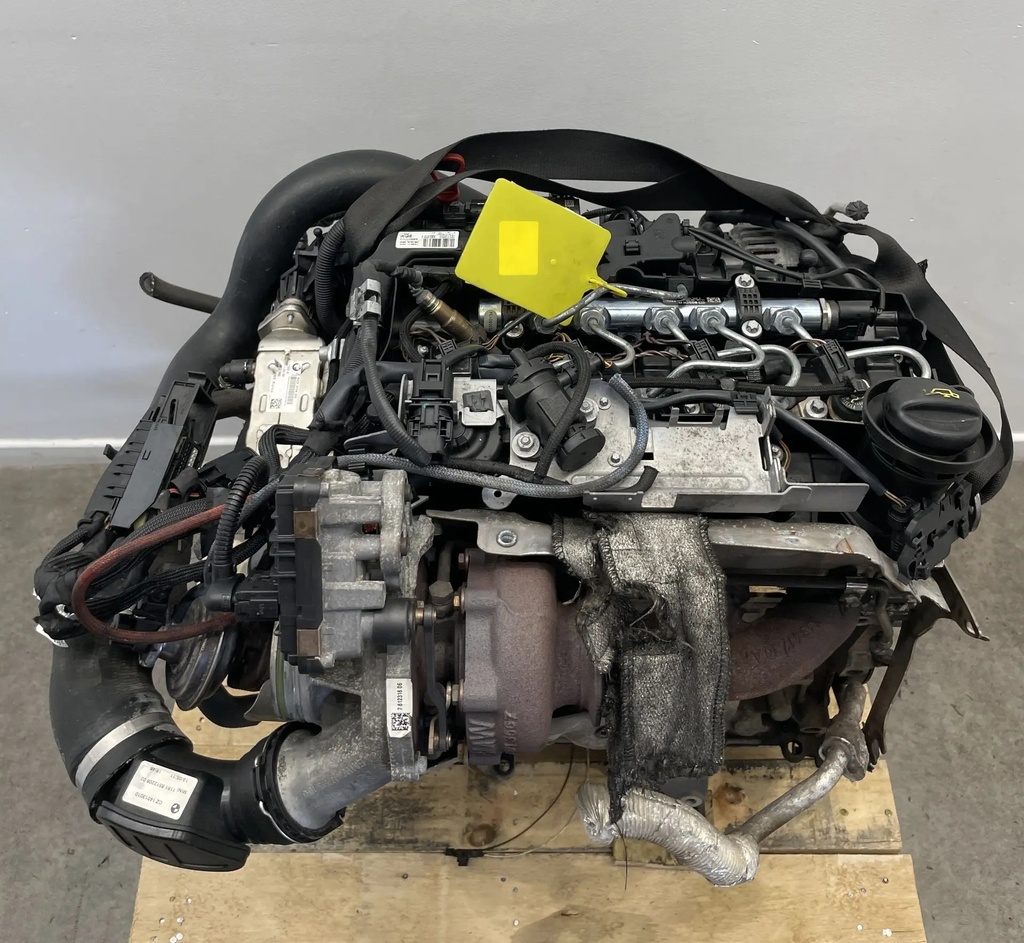 IMG_8551.webp