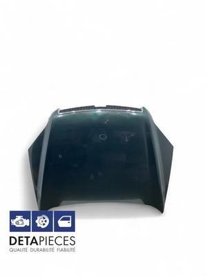 ✅CAPOT MOTEUR CHEVROLET CAPTIVA 2008 96861600 67017315