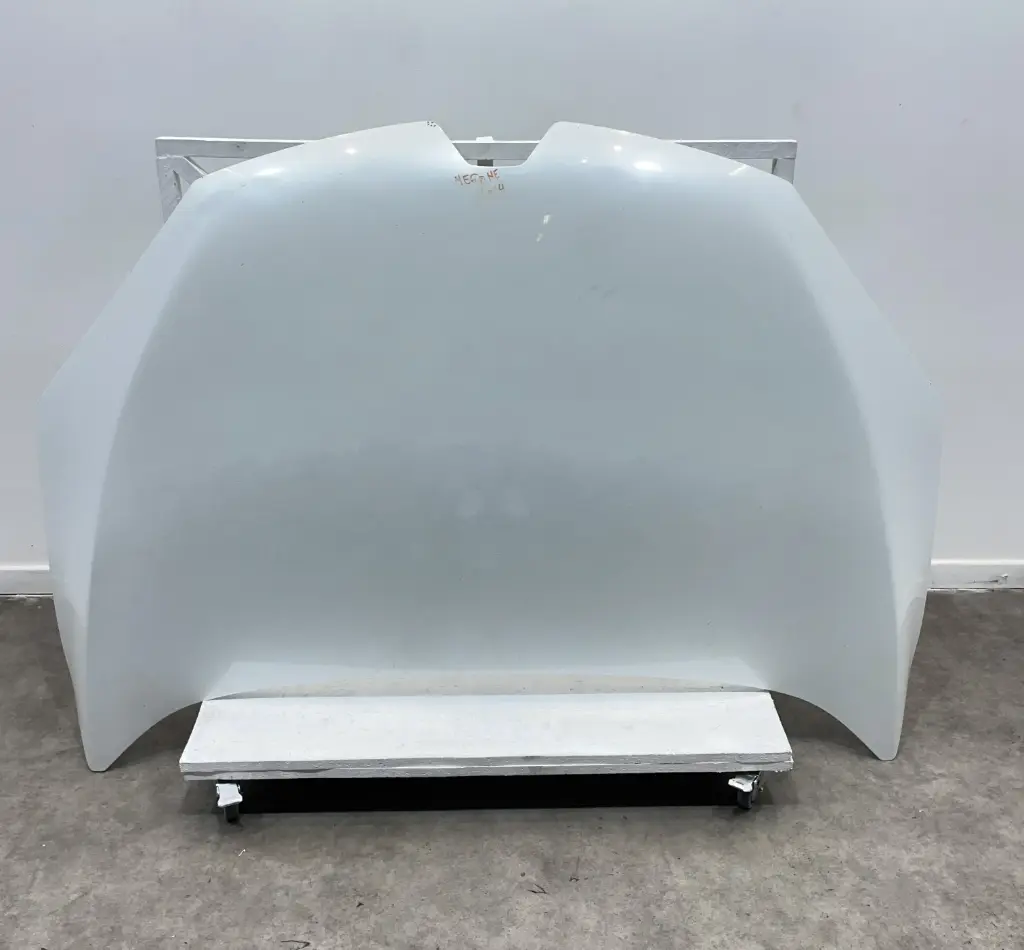 ✅CAPOT MOTEUR RENAULT MEGANE III Coupe 2014 651009018R 560393