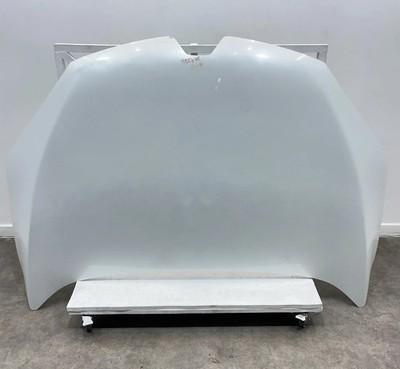 ✅CAPOT MOTEUR RENAULT MEGANE III Coupe 2014 651009018R 560393