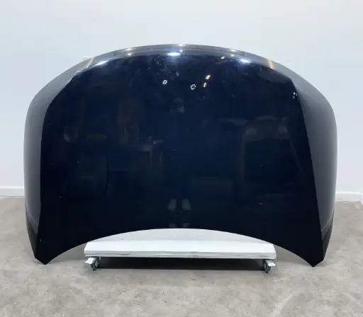 ✅CAPOT MOTEUR KIA SORENTO II 2010 664002P000 557130