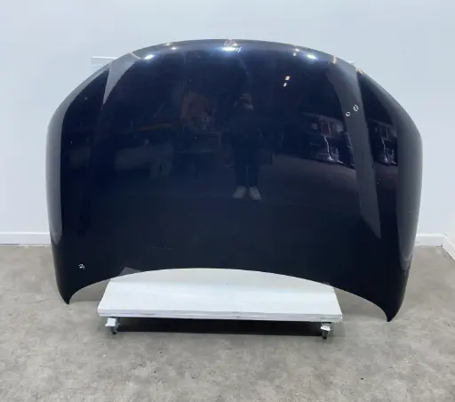 ✅CAPOT MOTEUR VOLKSWAGEN EOS 2007 1Q0823031J 560510